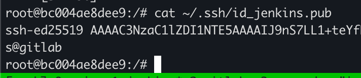 image-20251016215732395