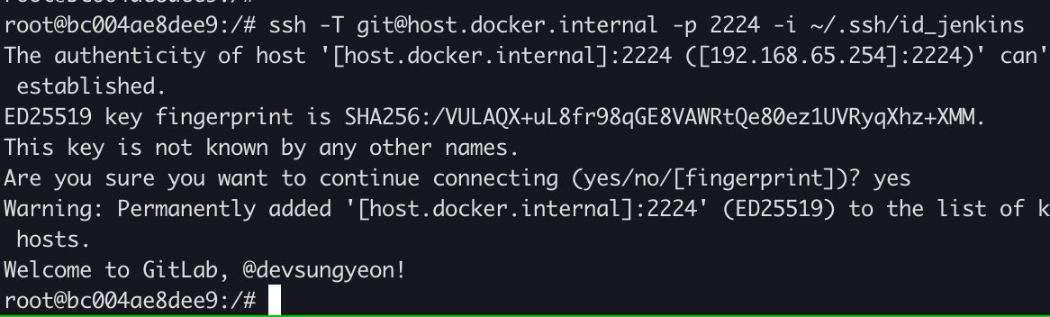 image-20251016215828777