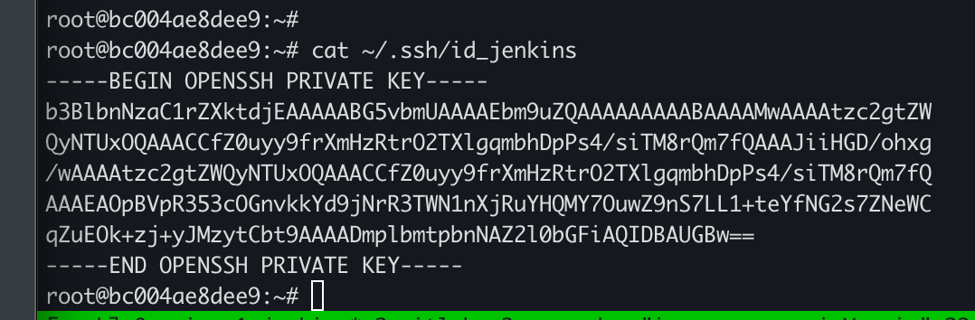 image-20251016220108123